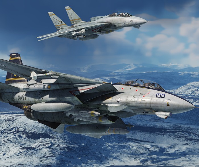F-14 Tomcat